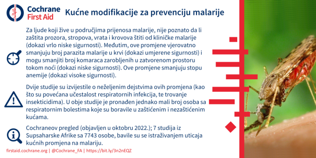 Bosnian blogshot house modifications malaria